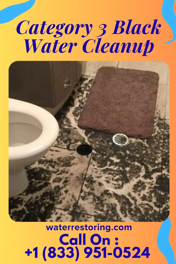 Category 3 Black Water Cleanup in Cheney, KS